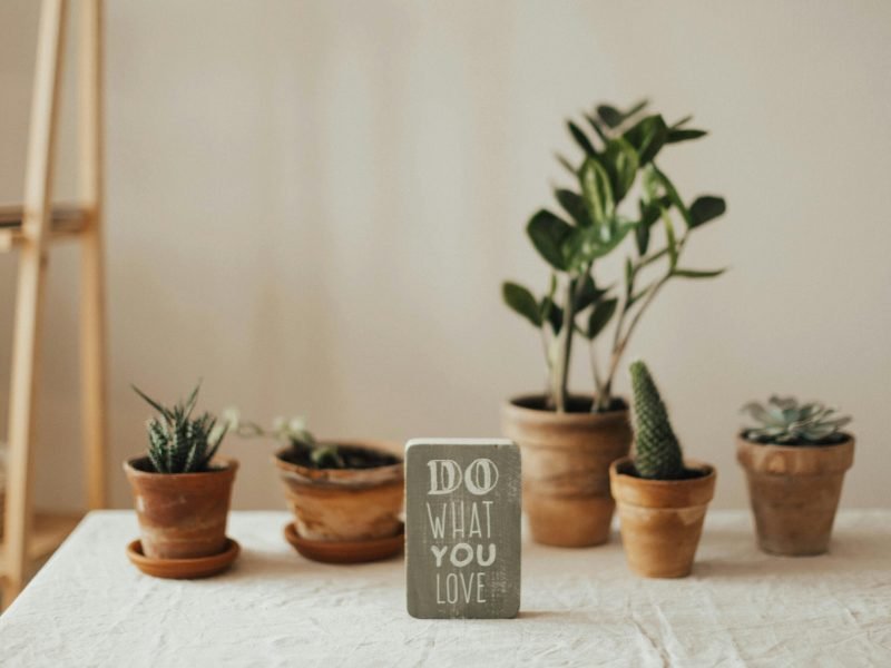 Life Coaching1 Life Coaching1